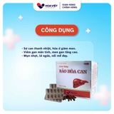 Viêm gan mạn tính, men gan tăng Bảo Hòa Can