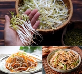 Trong số các loại rau mầm, giá đỗ xanh được ví là “nhân sâm”, bồi bổ ngũ tạng, thanh nhiệt giải độc