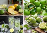 Vì sao ngày càng nhiều người thích cấp đông chanh tươi