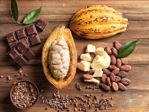 Bơ cacao Puratos 1g