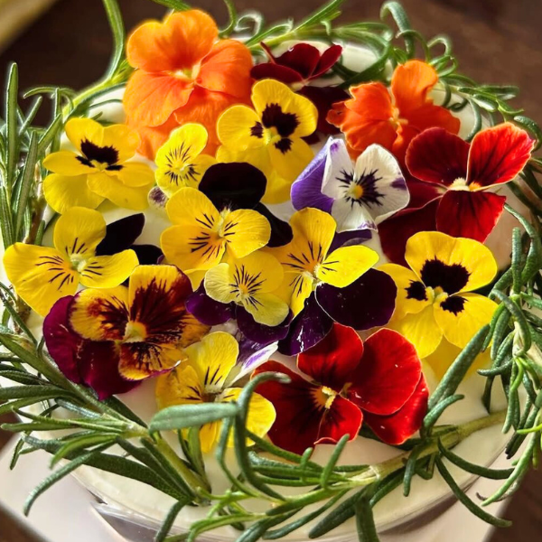 Hoa Bướm Viola Mixed Edible Flowers hoa tươi trang trí bánh 12g