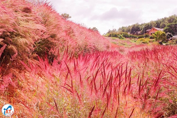 ĐI ĐẾN TÂY NGUYÊN BẰNG CÁCH NÀO? 1 phượt tây nguyên bằng ô tô