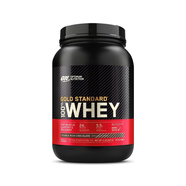 On-Whey-gold-Standard-2lbs-double-rich-chocolate