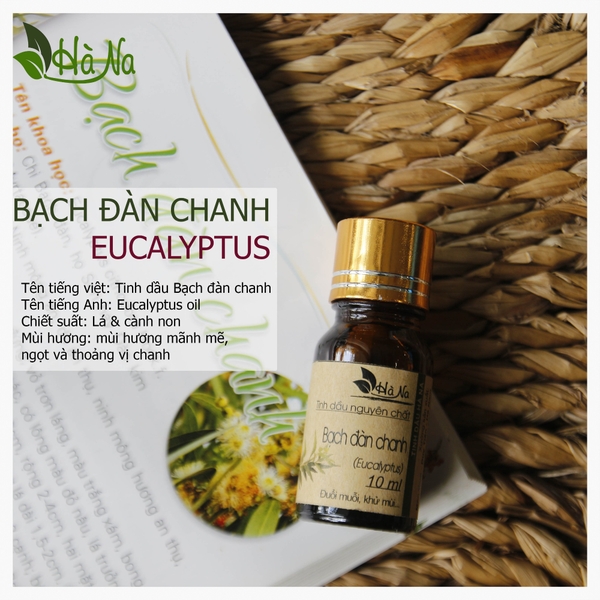 Tinh dầu Bạch Đàn Chanh EUCALYPTUS