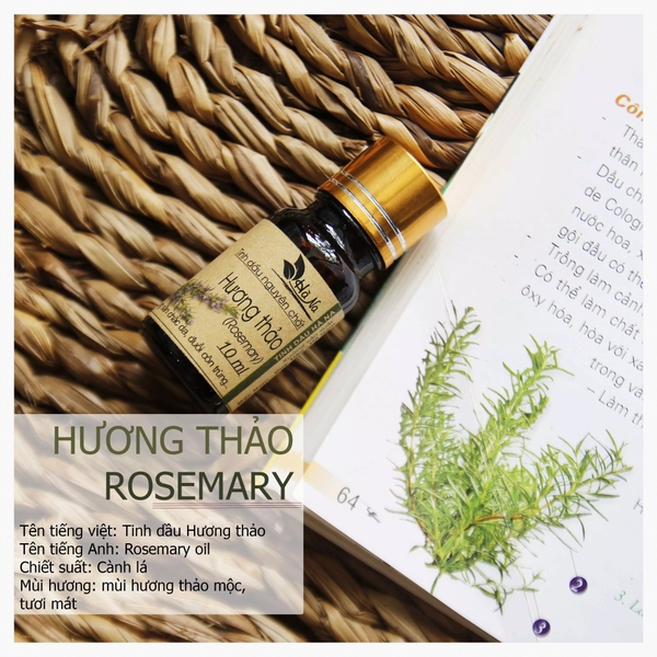 Tinh dầu Hương Thảo ROSEMARY