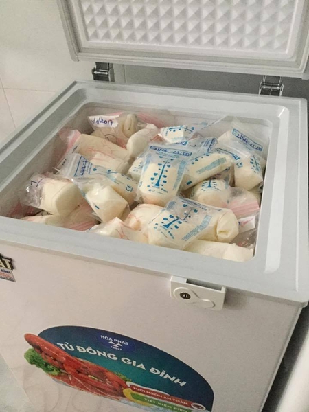tủ trữ đông sữa mẹ mini