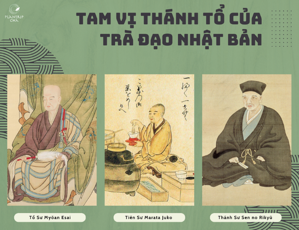 plantrip-cha.com