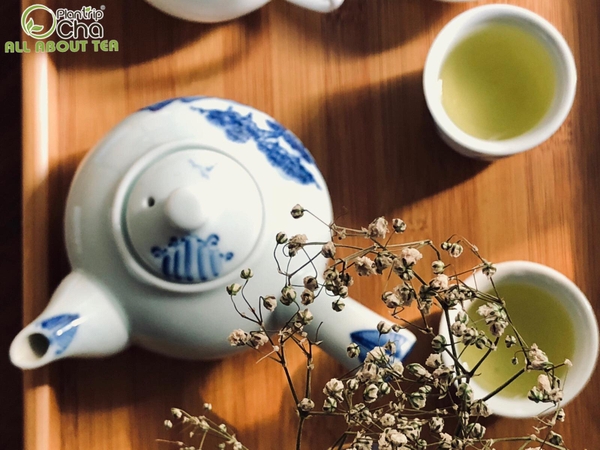 Mỗi loại trà có hương thơm, mùi vị tự nhiên khác nhau tùy thuộc vào hàm lượng thành phần, dưỡng chất (Ảnh: Plantrip Cha)