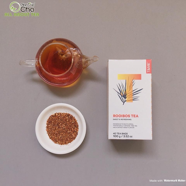 Hồng Trà Rooibos thường Plantrip Cha