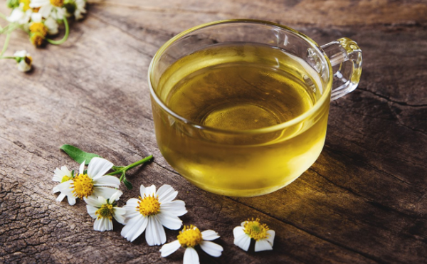 Trà hoa cúc mang đến nhiều lợi ích cho sức khoẻ
