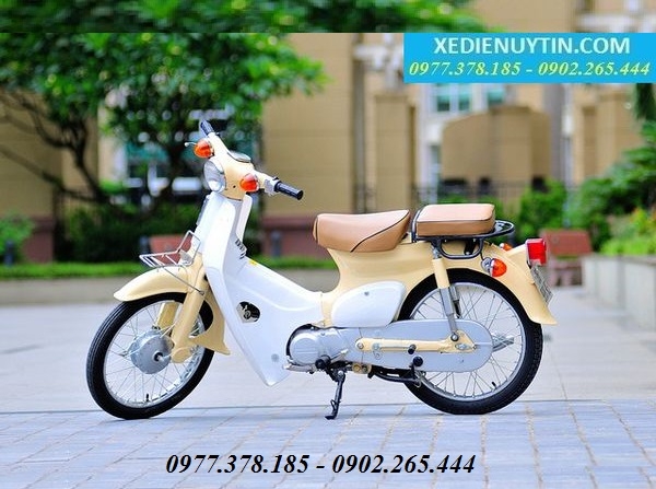 Những lý do tại sao bạn nên chọn mua xe cub