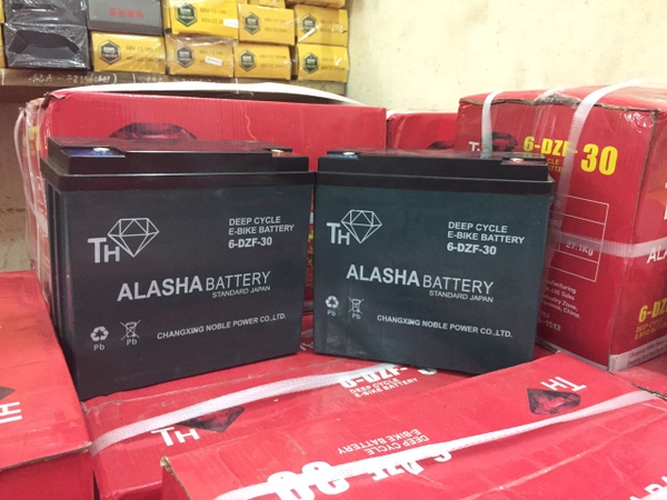 Ắc quy xe máy điện Alaska 48V-30A nhập khẩu