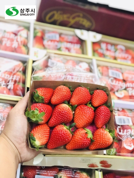 Dâu tây Sangju Hàn Quốc (Hộp 500gr - 9-12 quả)