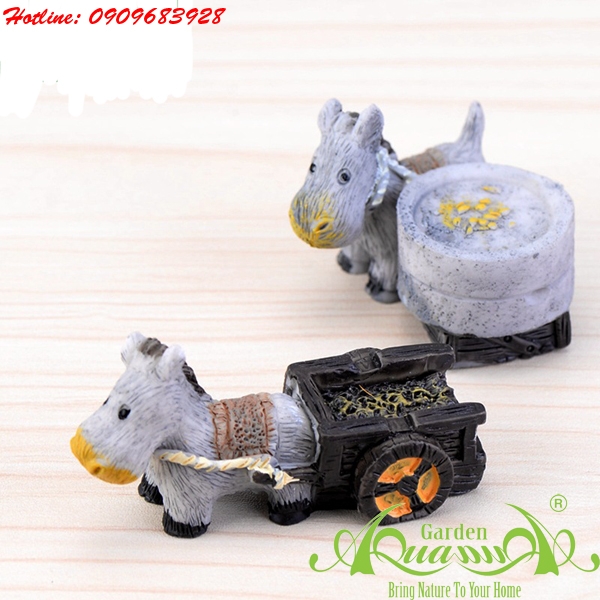 Phụ kiện Terrarium AquaGarden.