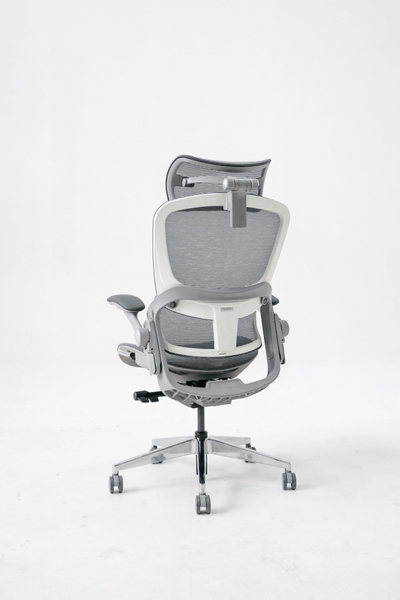 Ghế công thái học Epione Easy Chair SE