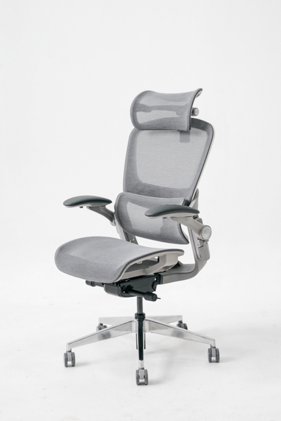 Ghế công thái học Epione Easy Chair SE