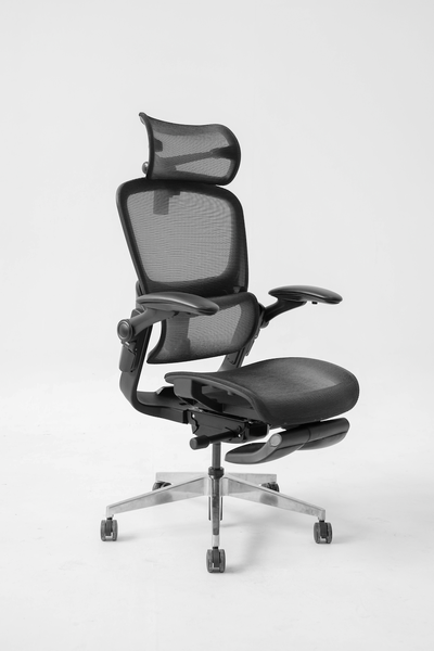 Ghế công thái học Epione Easy Chair SE