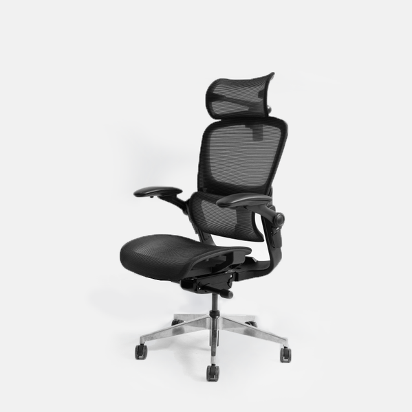 Ghế công thái học Epione Easy Chair SE