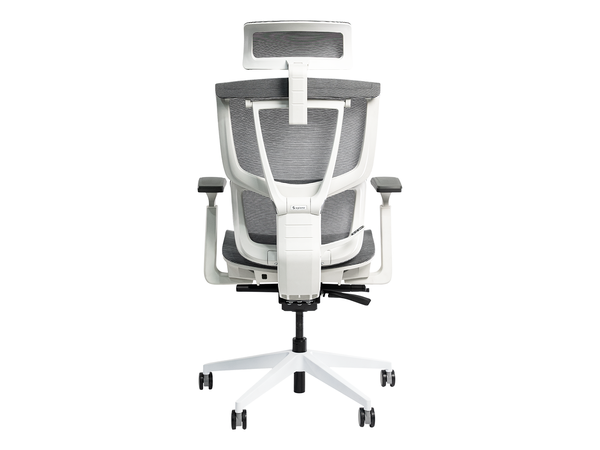 Ghế Công Thái Học Epione ErgoChair Pro 2.0