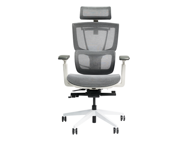 Ghế Công Thái Học Epione ErgoChair Pro 2.0