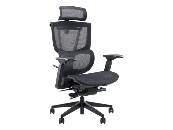 Ghế Công Thái Học Epione ErgoChair Pro 2.0