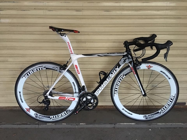 Roadbike cacbon PHOENIX cenior