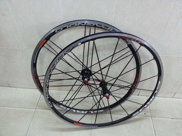 Cặp bánh campagnolo eurus alumium(made in italia)