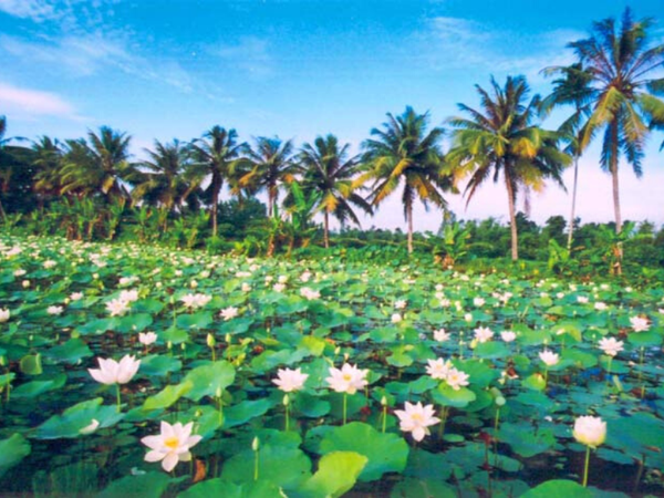 Kinh nghiệm du lịch miền Tây 2020