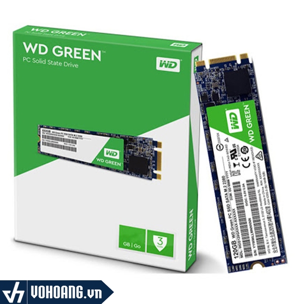 Western Digital WDS120G2G0B | Ổ Cứng SSD M.2 Green Dung Lượng 240GB | Hàng Chính Hãng