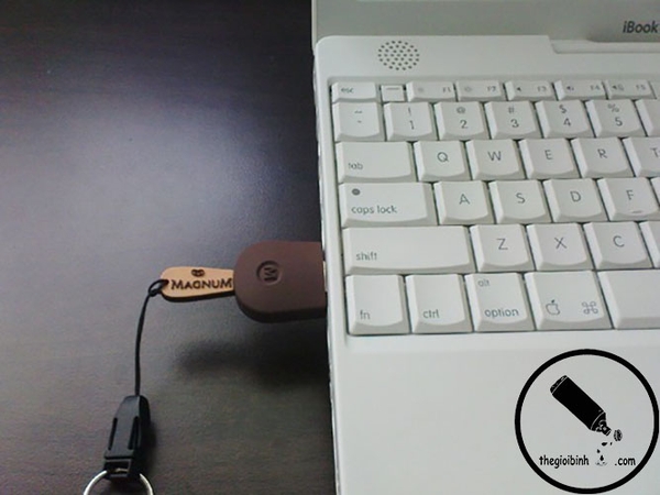 USB Cà Rem Icecream