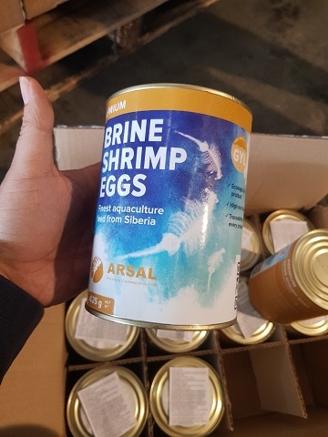 artemia arsal