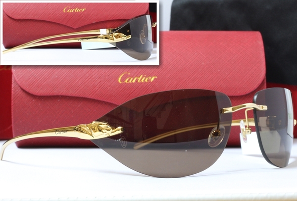 kinh cartier paris 110