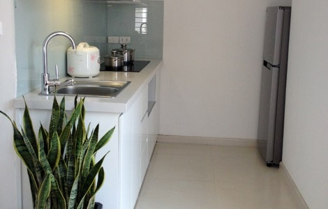 Nguyen Chi Thanh Apartment _______700$~800$_______