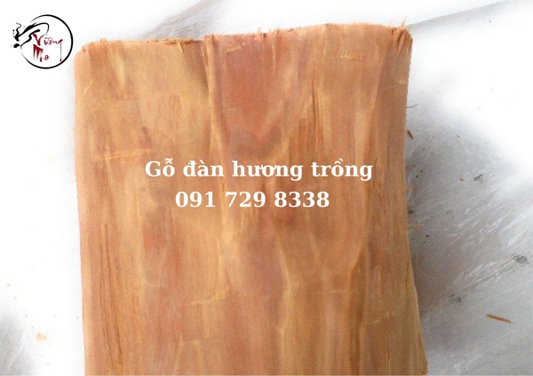 phân biệt nhận biết gỗ đàn hương