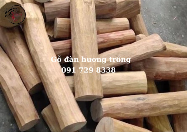 lý do gỗ đàn hương có giá trị cao