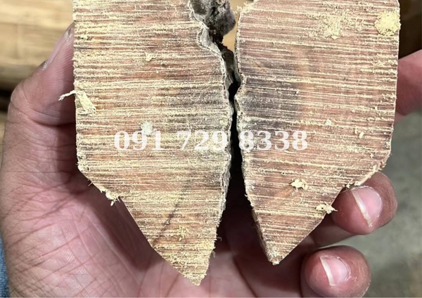 phân biệt đàn hương ấn độ và đàn hương indo