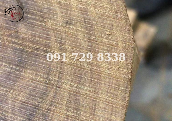 điều kiện sinh trưởng và phát triển cây gỗ đàn hương ấn độ