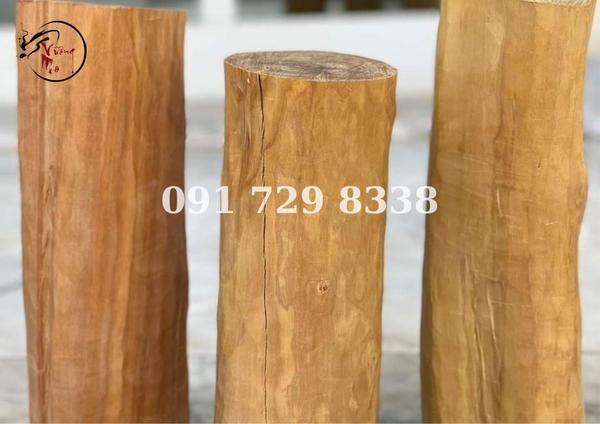 phân biệt gỗ đàn hương ấn độ và indo