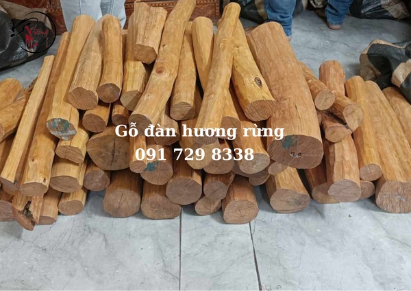 gỗ đàn hương quý hiếm