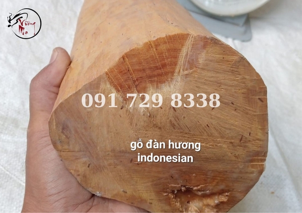 phân biệt đàn hương ấn độ và đàn hương indo