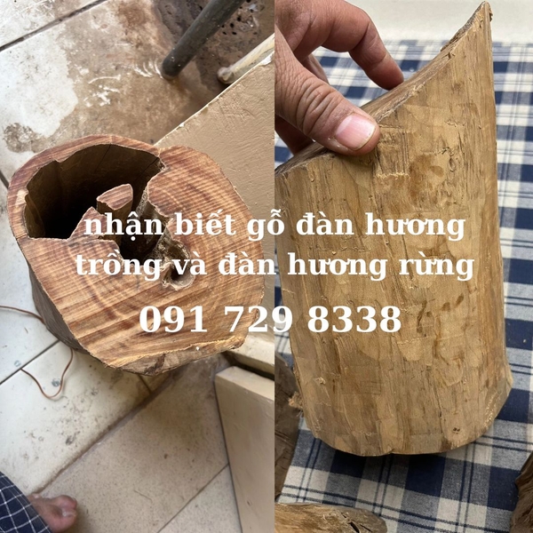 vì sao việc nhận biết gỗ đàn hương lại quan trọng