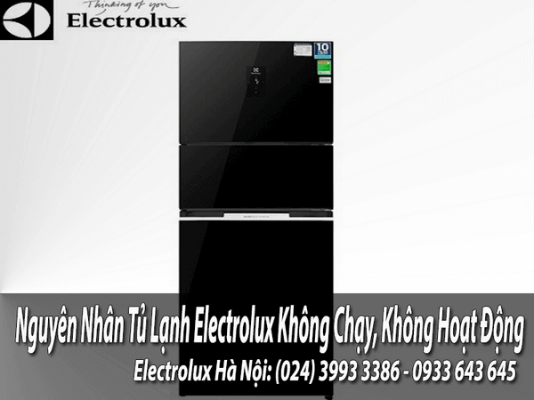 Nguyên nhân tủ lạnh electrolux không chạy