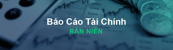 BÁO CÁO TÀI CHÍNH HỢP NHẤT SOÁT XÉT GIỮA NIÊN ĐỘ 6 THÁNG NĂM 2024
