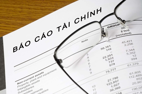 Báo cáo tài chính riêng đã được kiểm toán năm 2017