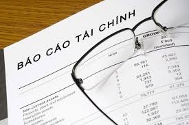 BÁO CÁO TÀI CHÍNH BÁN NIÊN 2020