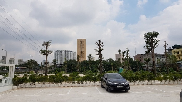 Toyota Thái Hòa - Từ Liêm