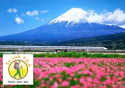 Du lịch Nhật Bản: Đến tham quan Tokyo Nui-phu-si-produlich-2