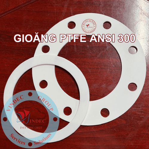 Gioăng PTFE (Teflon) ANSI 300