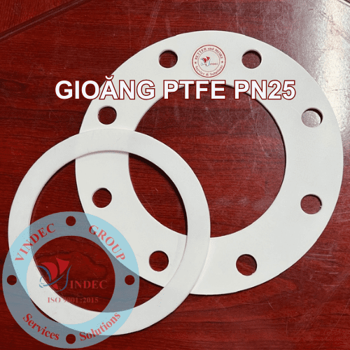 Gioăng PTFE (Teflon) PN25