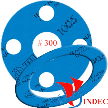 NA 1005 - ANSI 300